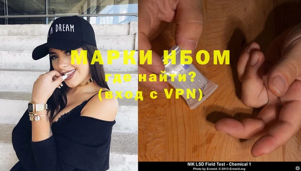 хмурый Анива
