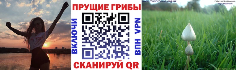 Галлюциногенные грибы прущие грибы  Вилючинск 